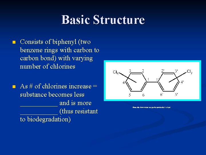 Basic Structure n Consists of biphenyl (two benzene rings with carbon to carbon bond)