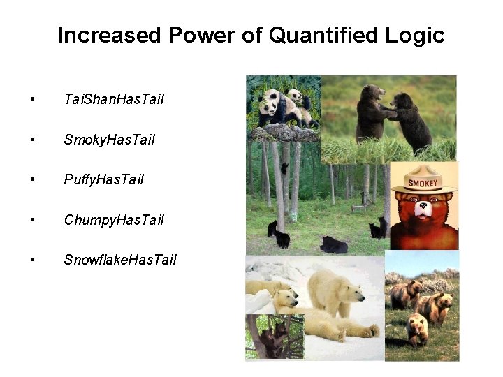 Increased Power of Quantified Logic • Tai. Shan. Has. Tail • Smoky. Has. Tail