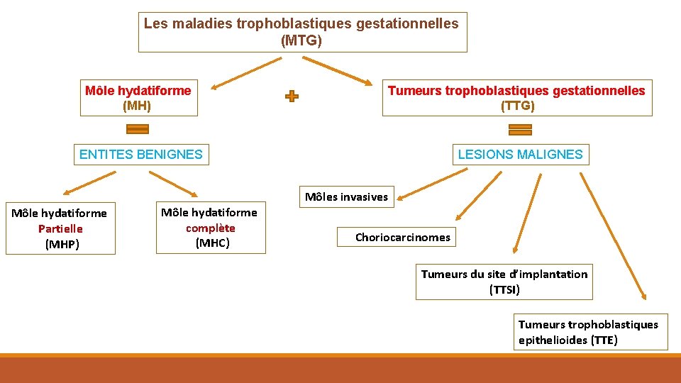 Les maladies trophoblastiques gestationnelles (MTG) Môle hydatiforme (MH) Tumeurs trophoblastiques gestationnelles (TTG) ENTITES BENIGNES