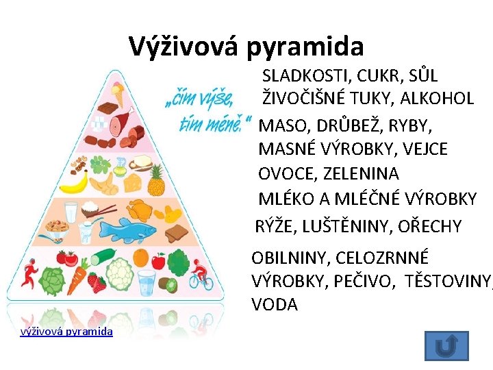 Výživová pyramida SLADKOSTI, CUKR, SŮL ŽIVOČIŠNÉ TUKY, ALKOHOL MASO, DRŮBEŽ, RYBY, MASNÉ VÝROBKY, VEJCE