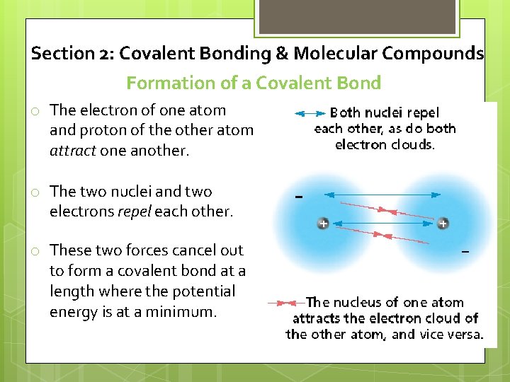 Section 2: Covalent Bonding & Molecular Compounds Formation of a Covalent Bond o The