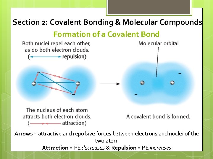 Section 2: Covalent Bonding & Molecular Compounds Formation of a Covalent Bond Arrows =