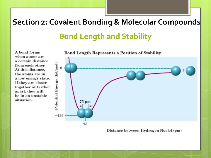 Section 2: Covalent Bonding & Molecular Compounds Bond Length and Stability 