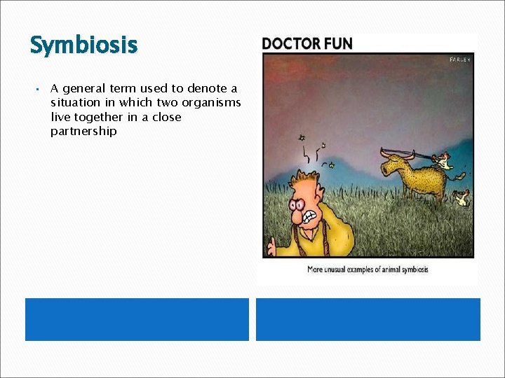 Symbiosis • A general term used to denote a situation in which two organisms