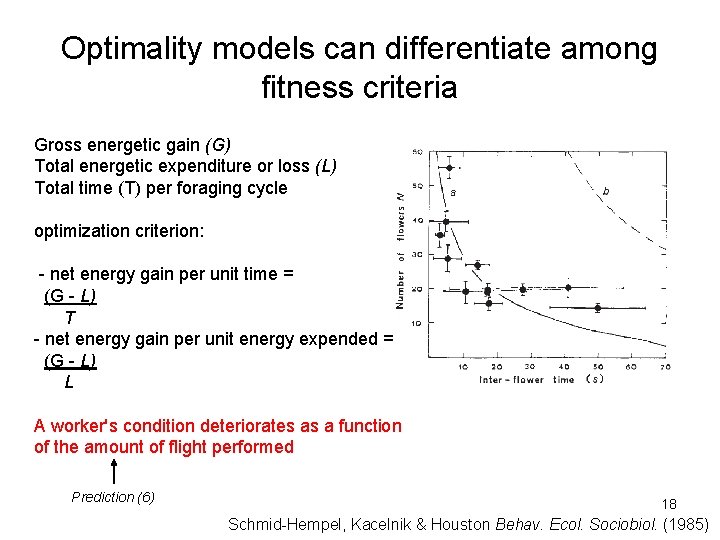 Optimality models can differentiate among fitness criteria Gross energetic gain (G) Total energetic expenditure