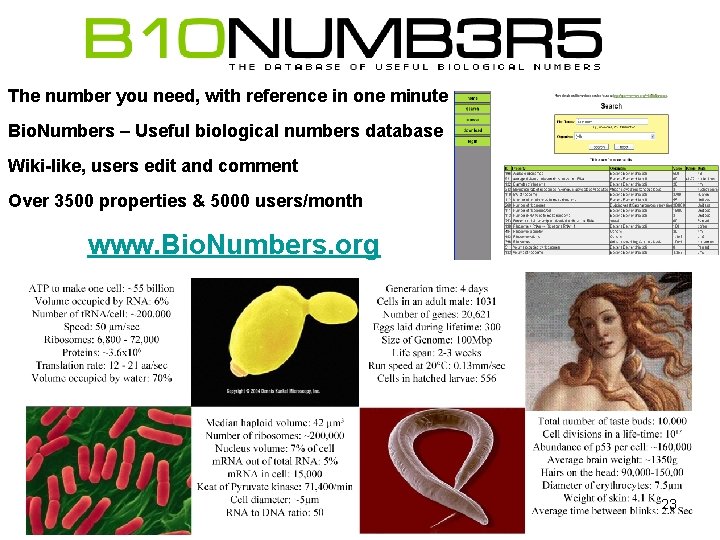 The number you need, with reference in one minute Bio. Numbers – Useful biological