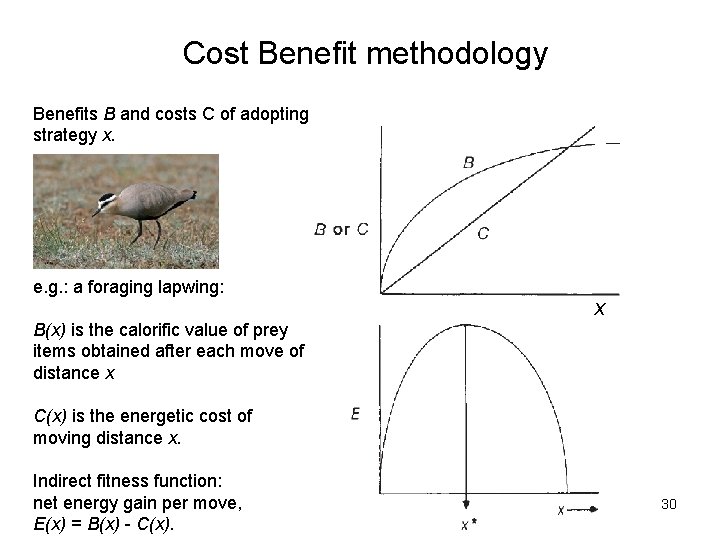 Cost Benefit methodology Benefits B and costs C of adopting strategy x. e. g.