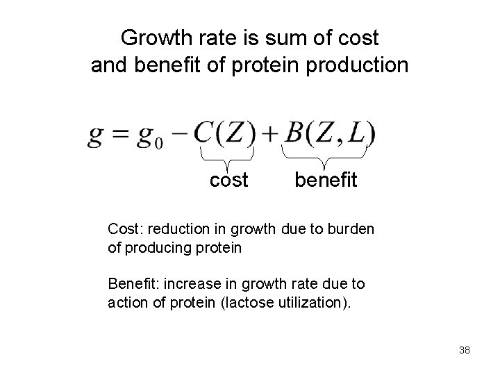 Growth rate is sum of cost and benefit of protein production cost benefit Cost: