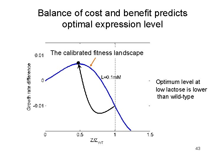 Balance of cost and benefit predicts optimal expression level The calibrated fitness landscape Optimum