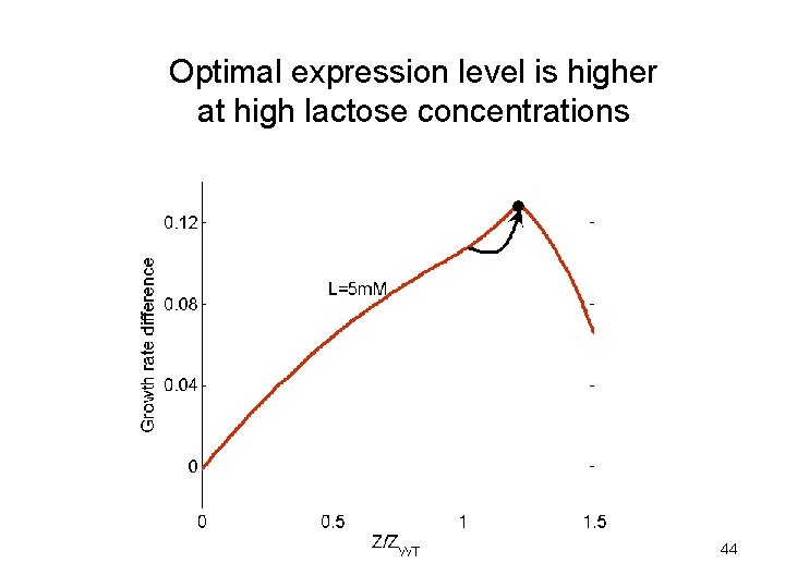 Optimal expression level is higher at high lactose concentrations 44 