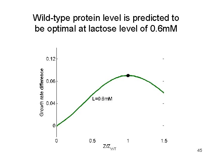 Wild-type protein level is predicted to be optimal at lactose level of 0. 6