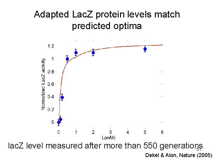 Adapted Lac. Z protein levels match predicted optima lac. Z level measured after more