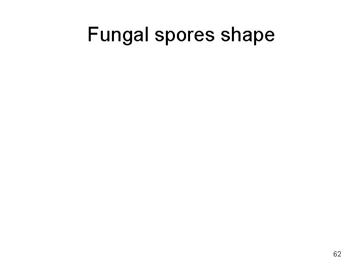 Fungal spores shape 62 