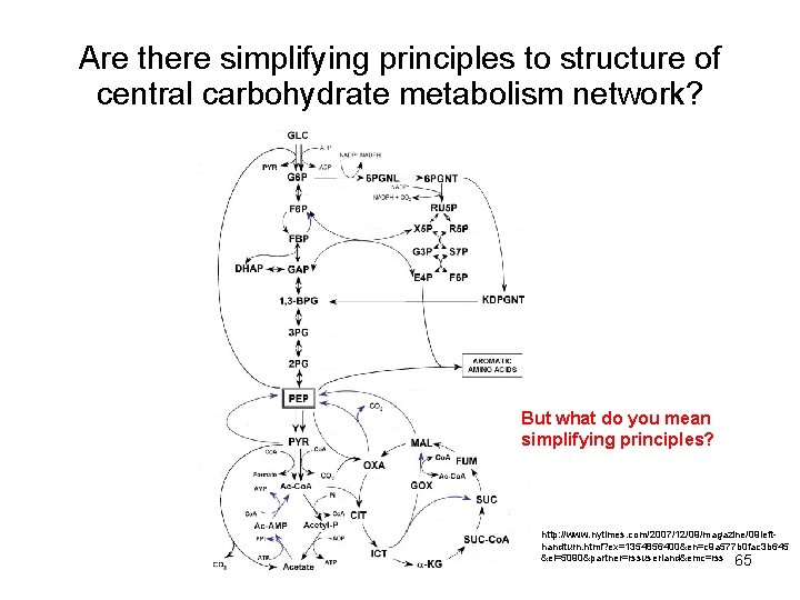 Are there simplifying principles to structure of central carbohydrate metabolism network? But what do