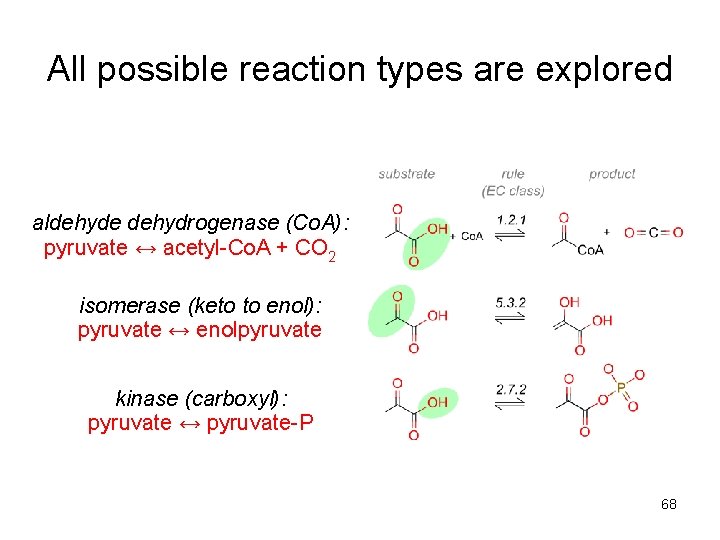 All possible reaction types are explored aldehyde dehydrogenase (Co. A): pyruvate ↔ acetyl-Co. A