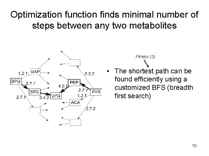 Optimization function finds minimal number of steps between any two metabolites Fitness (3) •