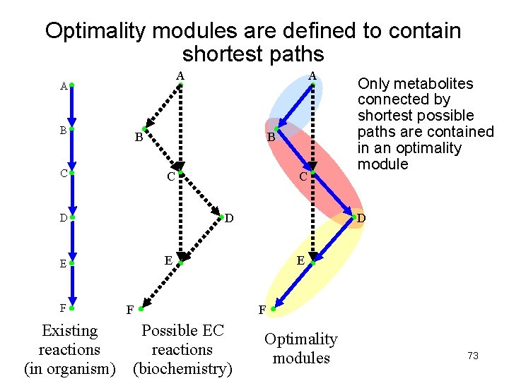 Optimality modules are defined to contain shortest paths A A B B C F