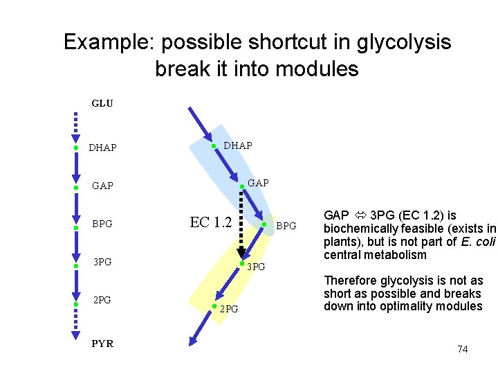 Example: possible shortcut in glycolysis break it into modules GLU DHAP GAP BPG EC