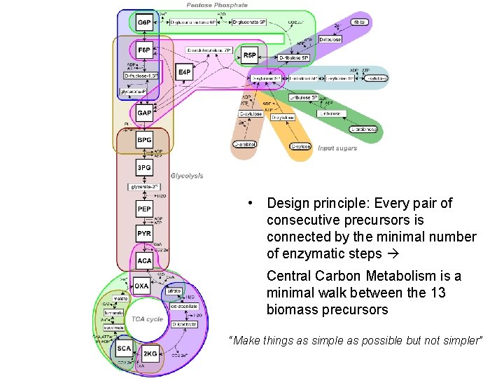  • Design principle: Every pair of consecutive precursors is connected by the minimal