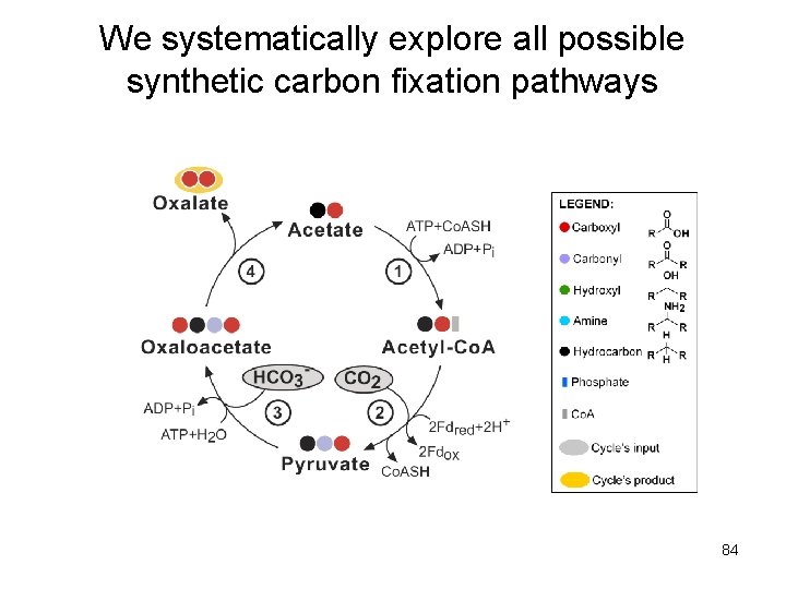 We systematically explore all possible synthetic carbon fixation pathways 84 