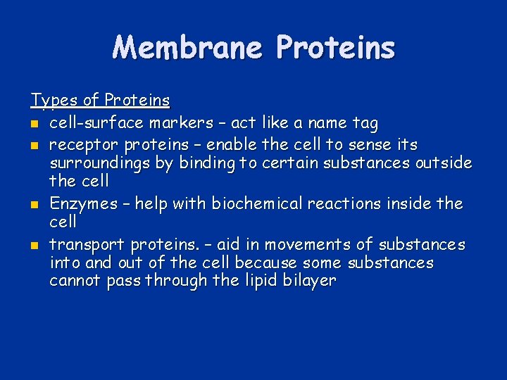 Membrane Proteins Types of Proteins n cell-surface markers – act like a name tag