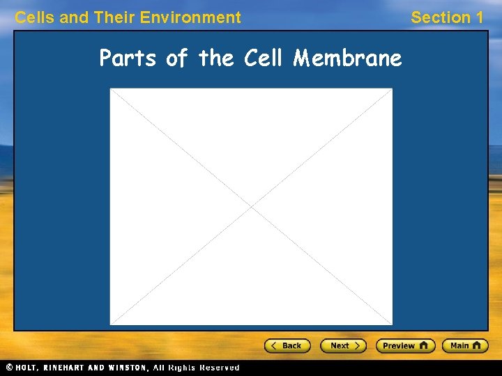 Cells and Their Environment Parts of the Cell Membrane Section 1 