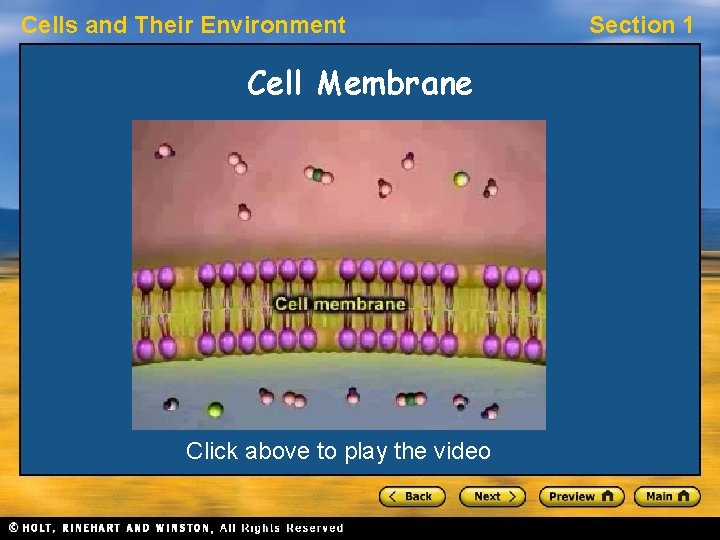 Cells and Their Environment Cell Membrane Click above to play the video Section 1