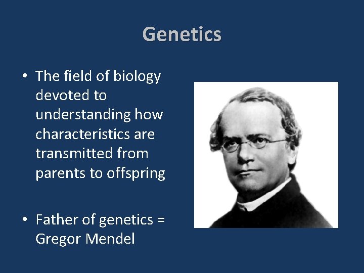 Genetics • The field of biology devoted to understanding how characteristics are transmitted from