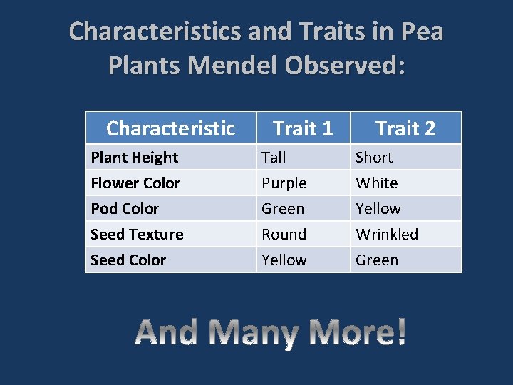 Characteristics and Traits in Pea Plants Mendel Observed: Characteristic Trait 1 Trait 2 Plant