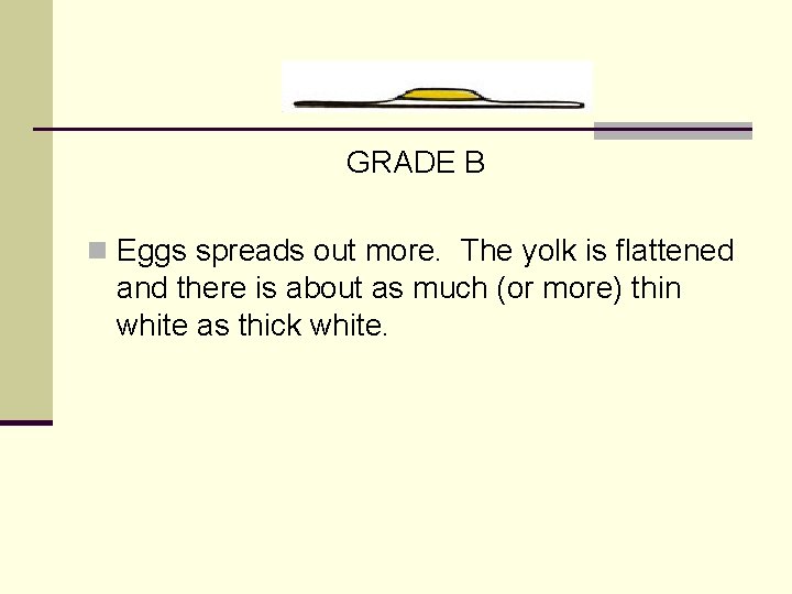 GRADE B n Eggs spreads out more. The yolk is flattened and there is