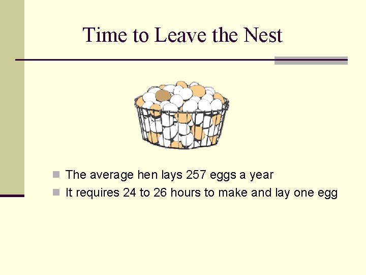 Time to Leave the Nest n The average hen lays 257 eggs a year