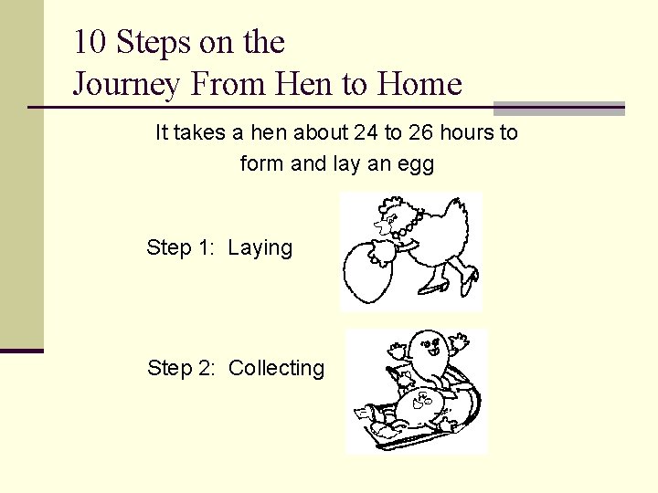 10 Steps on the Journey From Hen to Home It takes a hen about