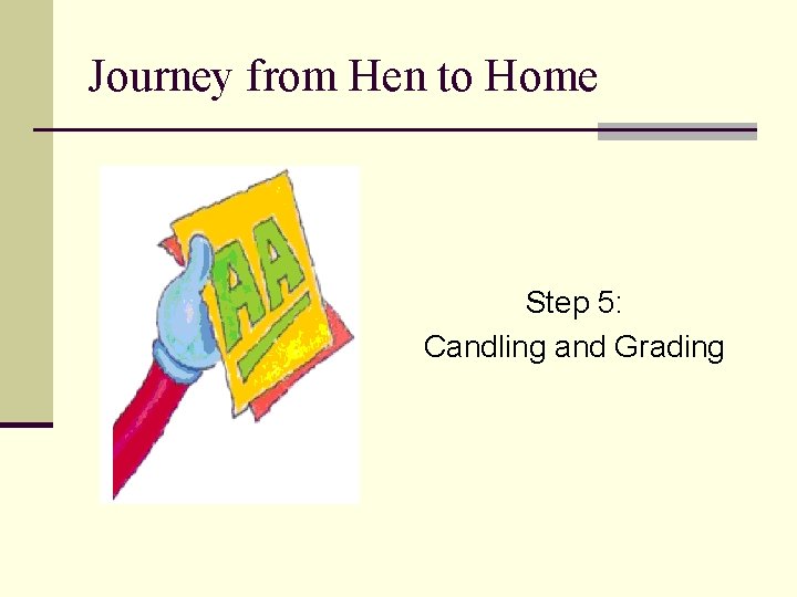 Journey from Hen to Home Step 5: Candling and Grading 