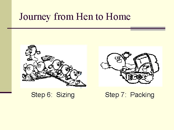 Journey from Hen to Home Step 6: Sizing Step 7: Packing 