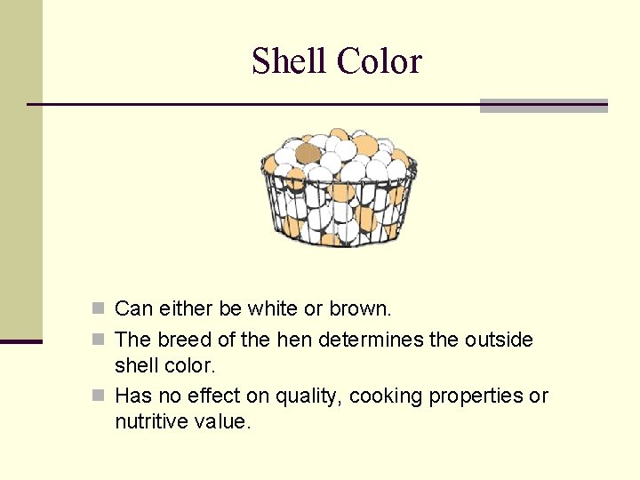 Shell Color n Can either be white or brown. n The breed of the