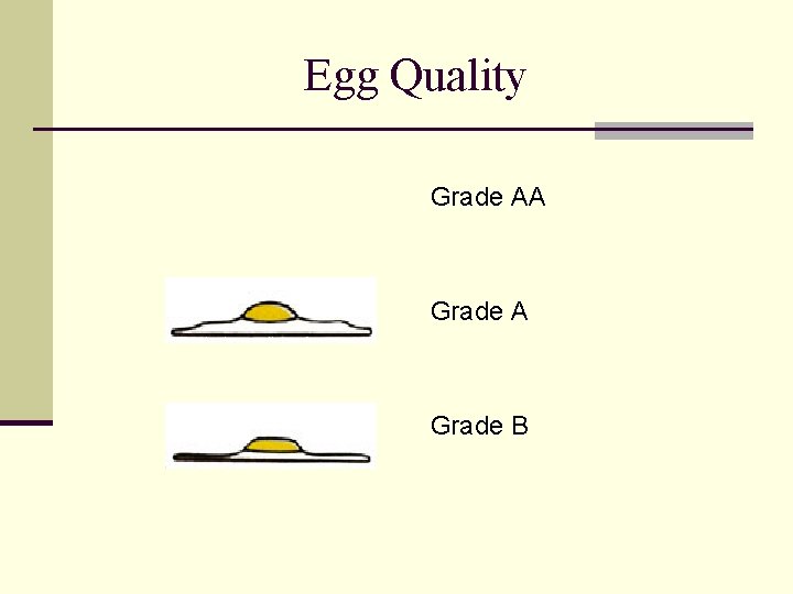 Egg Quality Grade AA Grade B 