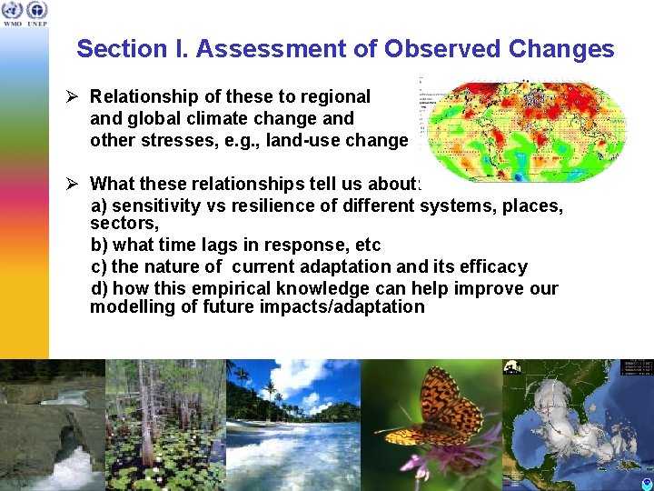 Section I. Assessment of Observed Changes Ø Relationship of these to regional and global