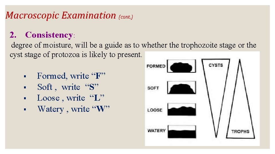 Macroscopic Examination (cont. ) 2. Consistency: degree of moisture, will be a guide as