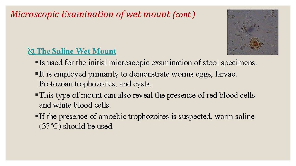 Microscopic Examination of wet mount (cont. ) The Saline Wet Mount § Is used