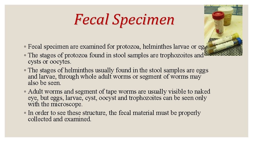 Fecal Specimen ◦ Fecal specimen are examined for protozoa, helminthes larvae or eggs. ◦