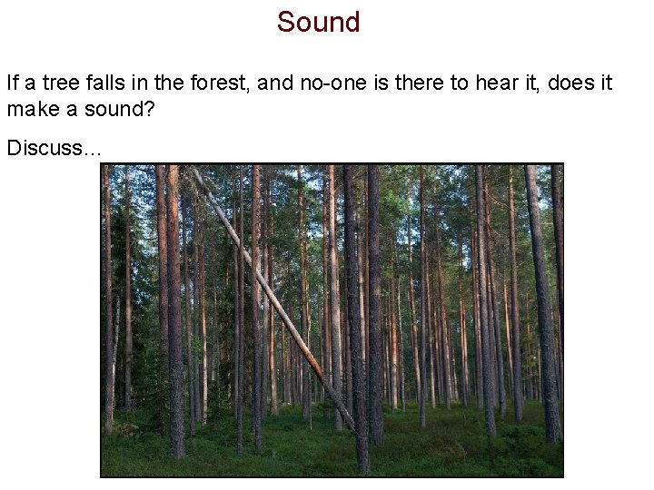 Sound If a tree falls in the forest, and no-one is there to hear