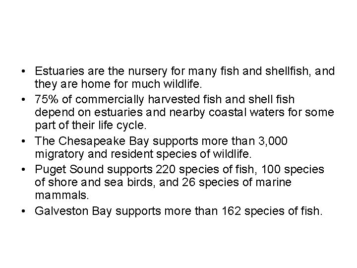  • Estuaries are the nursery for many fish and shellfish, and they are
