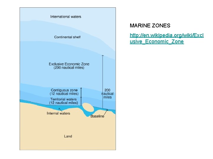 MARINE ZONES http: //en. wikipedia. org/wiki/Excl usive_Economic_Zone 