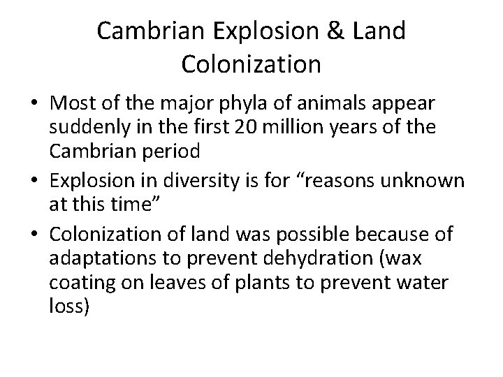 Cambrian Explosion & Land Colonization • Most of the major phyla of animals appear