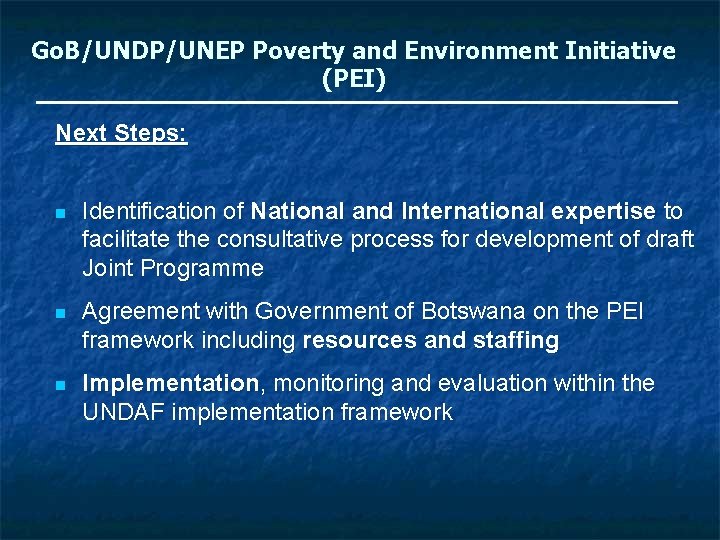 Go. B/UNDP/UNEP Poverty and Environment Initiative (PEI) Next Steps: n Identification of National and