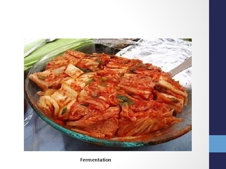 Fermentation 