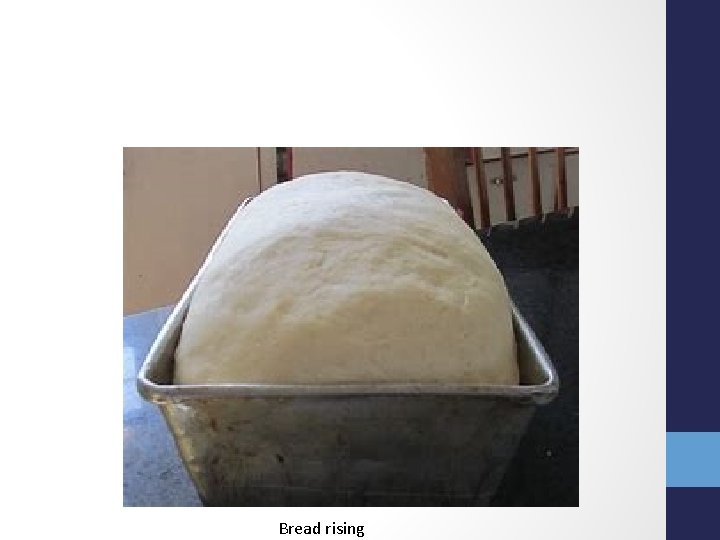 Bread rising 