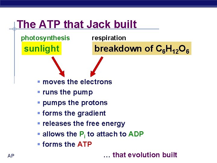 The ATP that Jack built photosynthesis sunlight § § § § AP Biology respiration