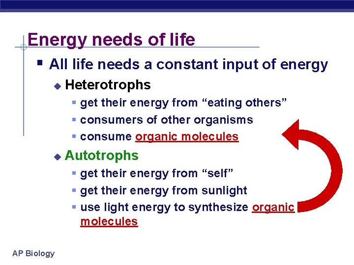 Energy needs of life § All life needs a constant input of energy u