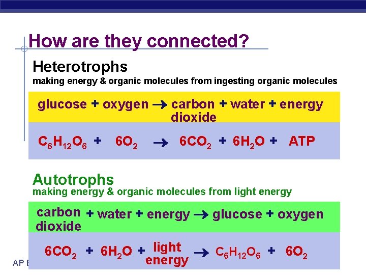 How are they connected? Heterotrophs making energy & organic molecules from ingesting organic molecules